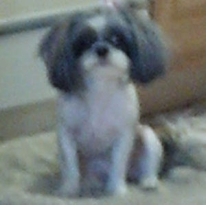 Meet your Posher, Tonia